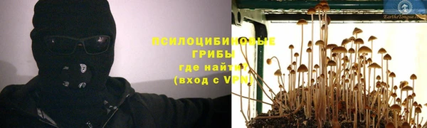 ALPHA-PVP Белокуриха