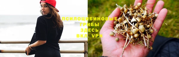 каннабис Богородск