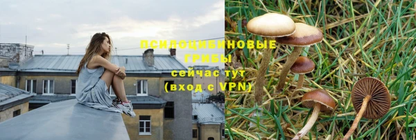 гашишное масло Богородицк